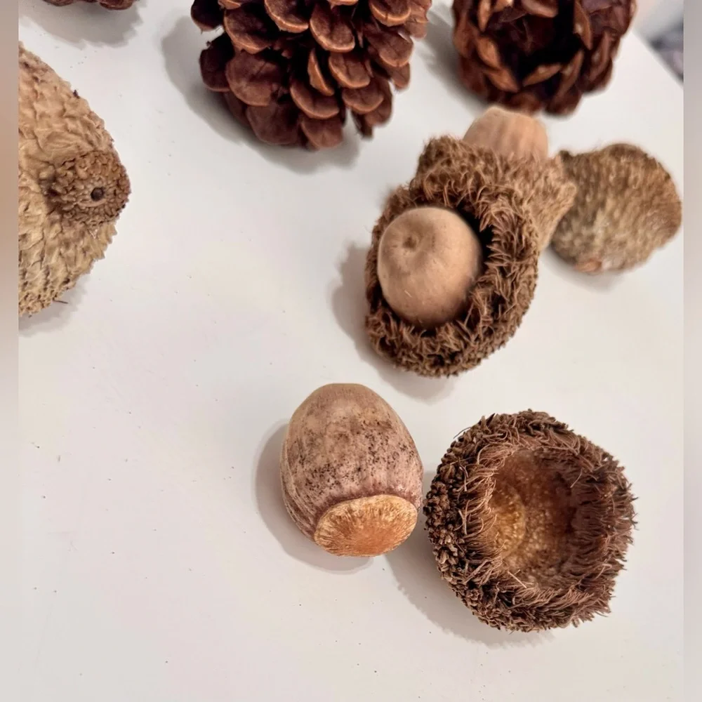 12 Pc. Natural Pinecone & Acorn Set for Rustic Floral Arrangement Wreath Crafts